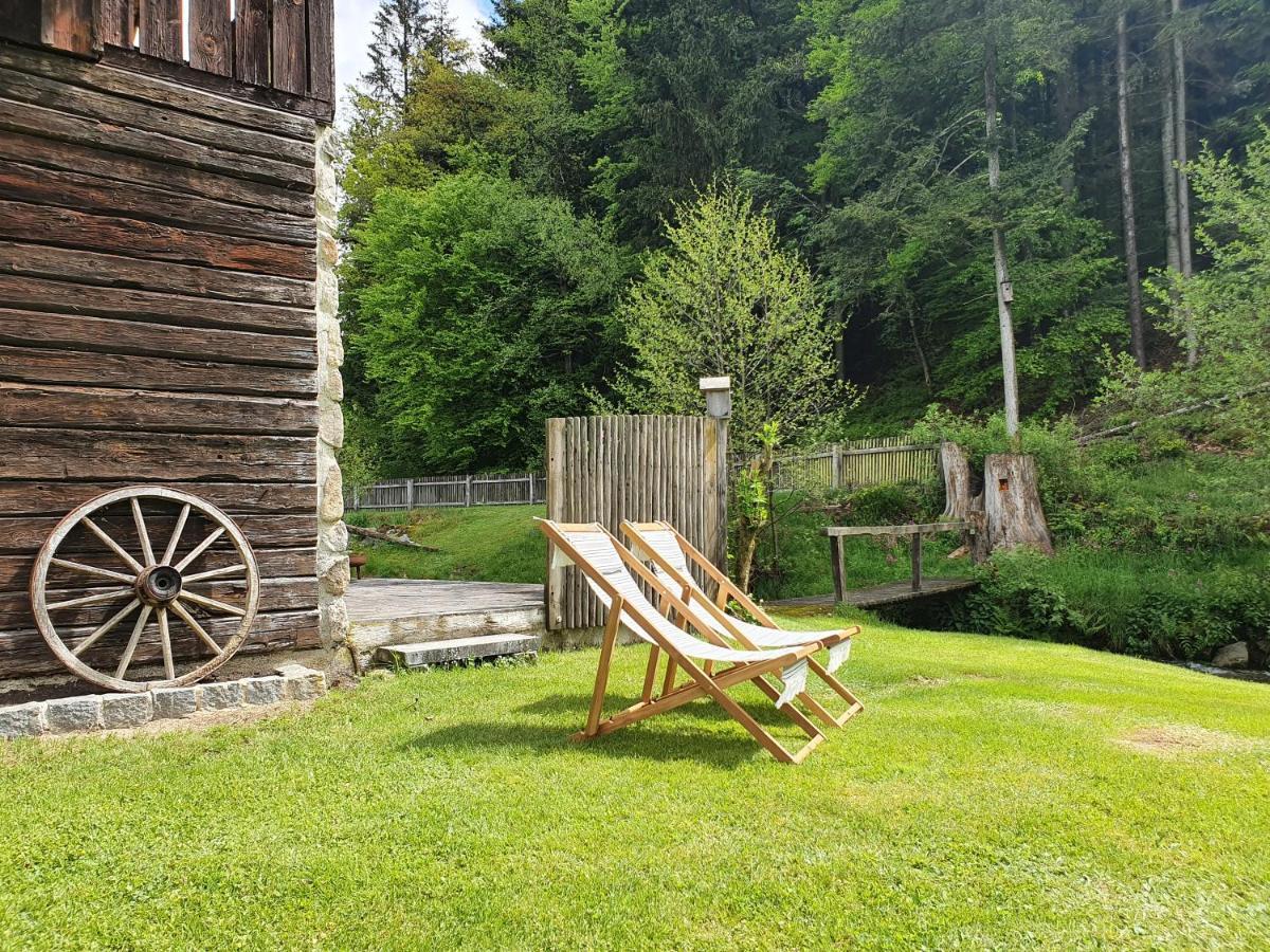 Naturidyll Kollnbergmuehle Fürstenstein Εξωτερικό φωτογραφία