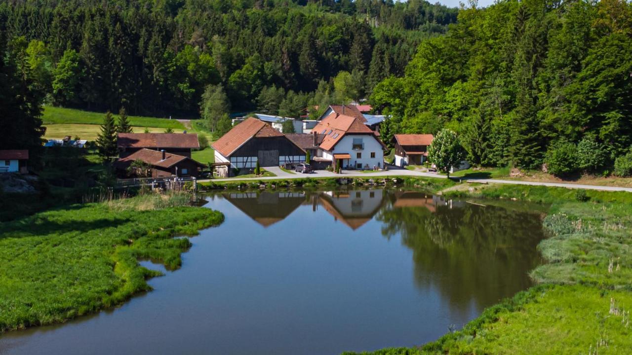 Naturidyll Kollnbergmuehle Fürstenstein Εξωτερικό φωτογραφία